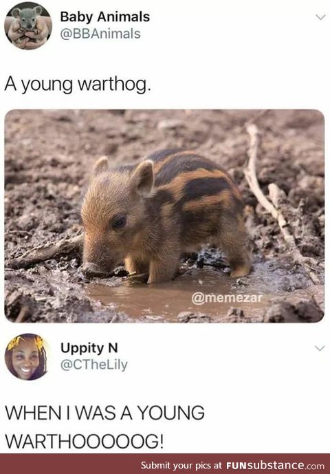 When he was a young warthog