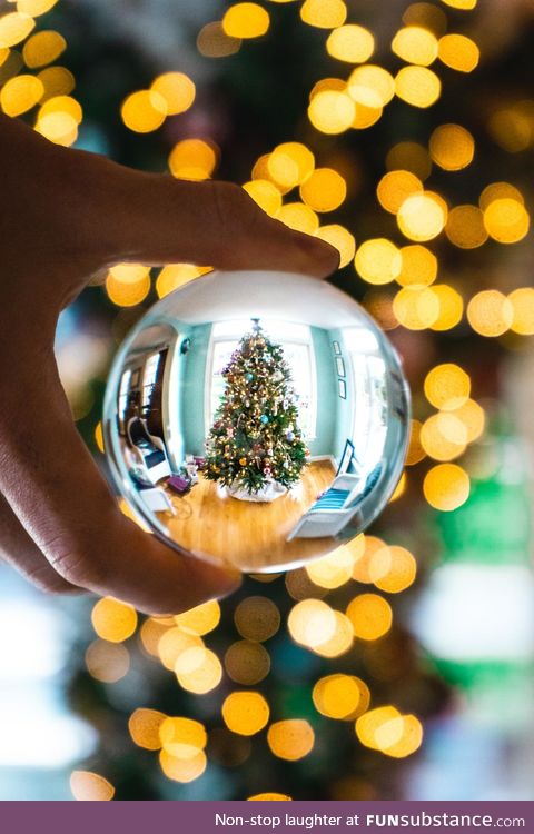 Snagged a photo of our Christmas tree with a clear ball