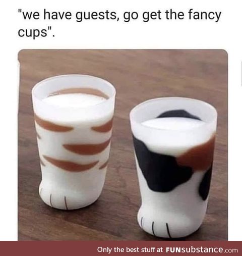 The Fancy Cups