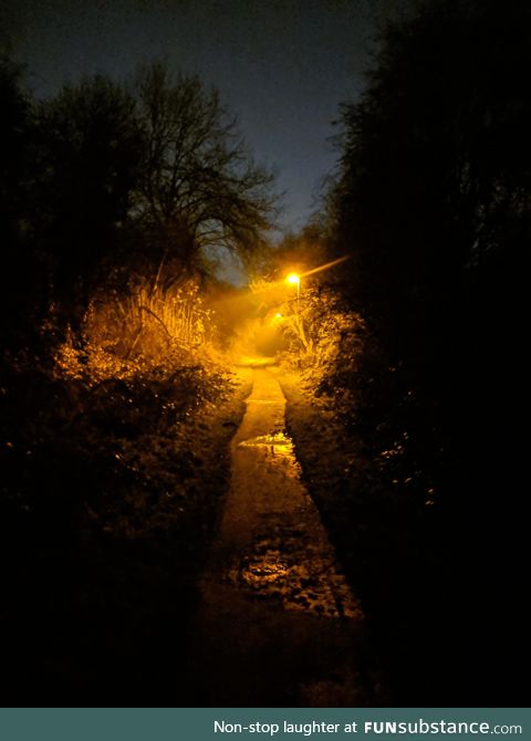 My walk home