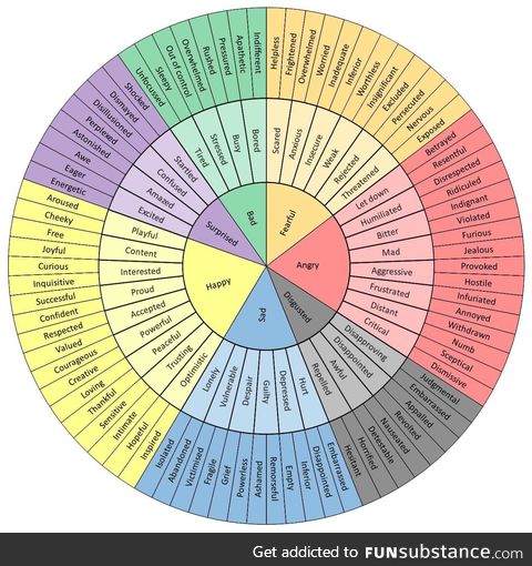 THE FEEL WHEEL this is super helpful for anyone needing to identify their emotions or