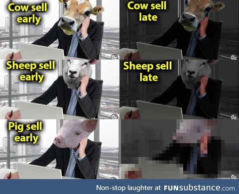 Pigs sell late