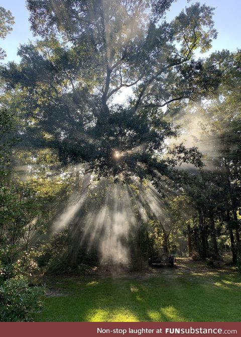 Took this earlier while I was cleaning up the backyard