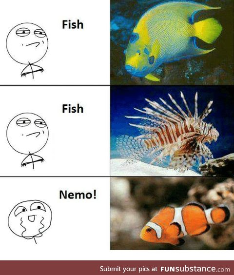 Fishy Fun Day #48: Meme Edition