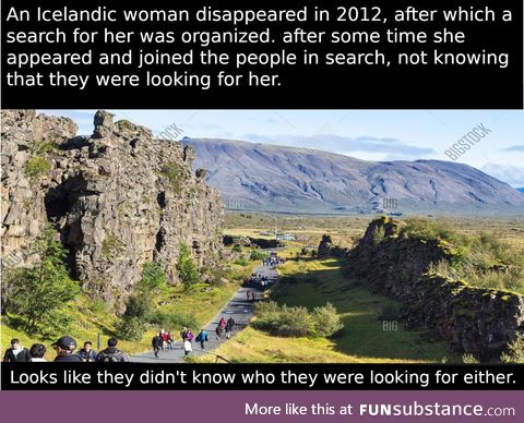 After a night-long operation involving around 50 people, the 'missing woman' eventually