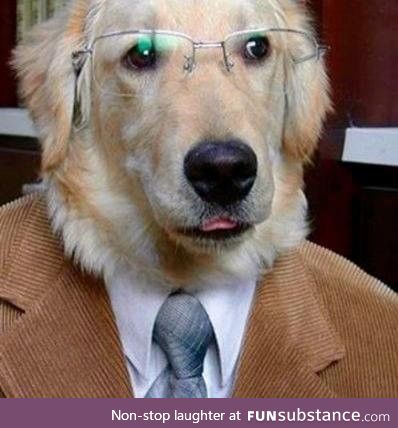 This is Senator Dog. He did not take money from the telecom lobby because he is a dog and