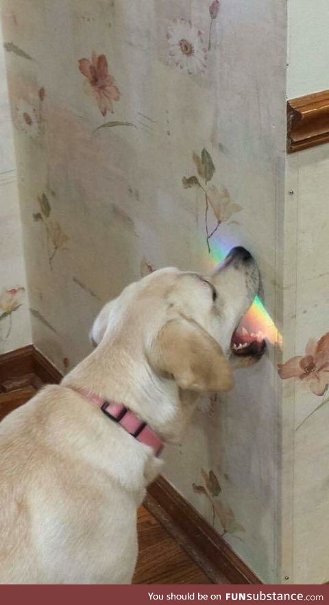 Taste the rainbow