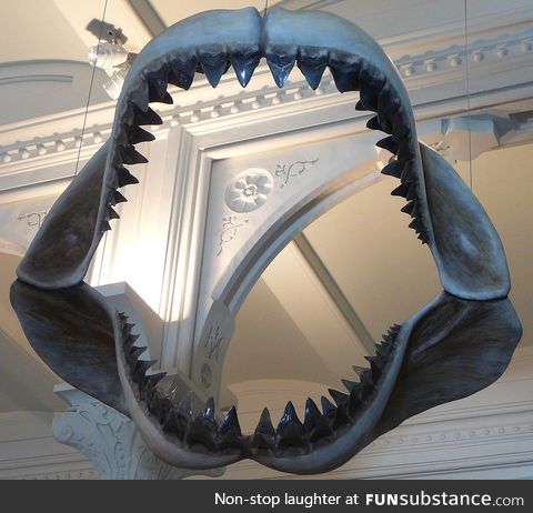 Fishy Fun Day #55: Megalodon @SuperDave