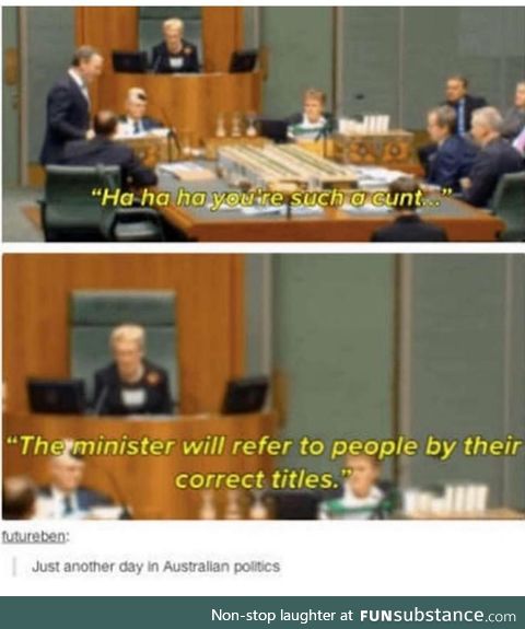 Australian politics can get a bit hairy