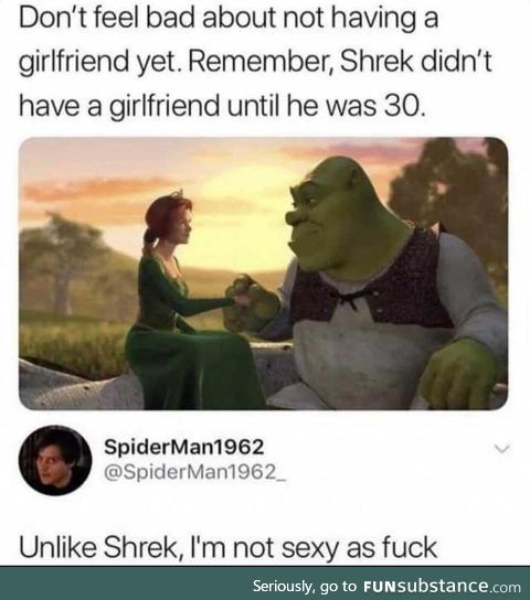 Shrek didn't have a girlfriend until he was 30