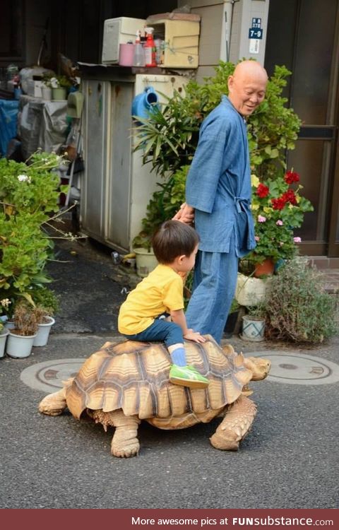 This man walks around the city with his pet tortoise - Tokyo