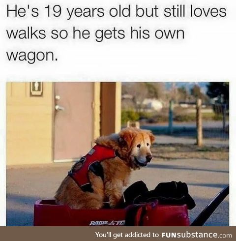 He gets his own wagon