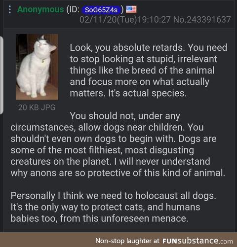 Anon is a cat with a strong opinion on pitbulls