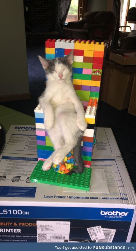 This cat's position