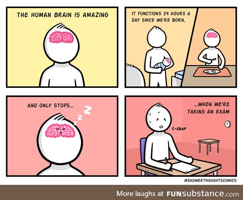 [OC] The human brain