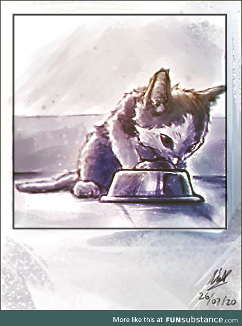 Kitten in a Polaroid