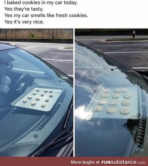 Baked cookies in the car today. This is why you don't leave pets or kids on hot days
