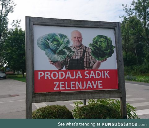 Caught Herold slinging veg in Slovenia