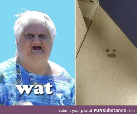 Saw a spot on the floor at work and instantly thought of the Wat lady