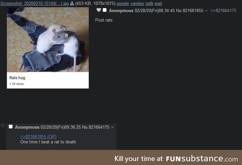 Anon shares his experience with rats