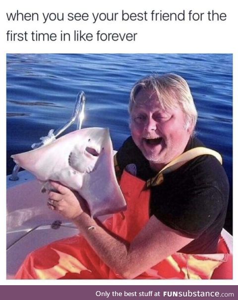 Fishy Fun Day #64: Meme Edition