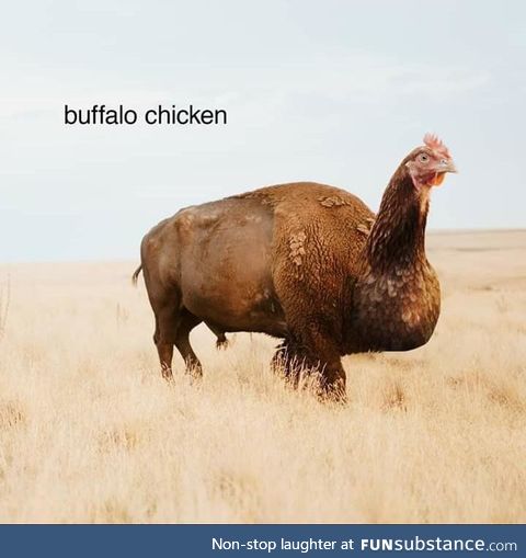 I'll stick to the burger and fries please