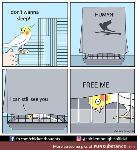 Stop putting the birbs in cages, is what I've always said