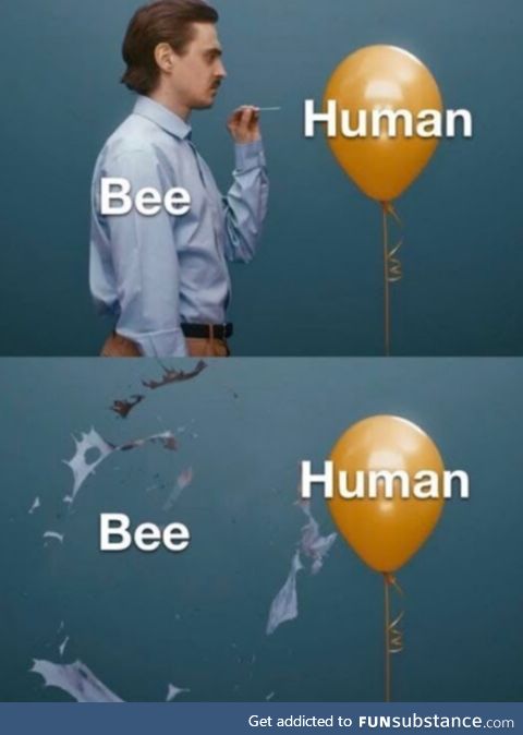 Bees, basically