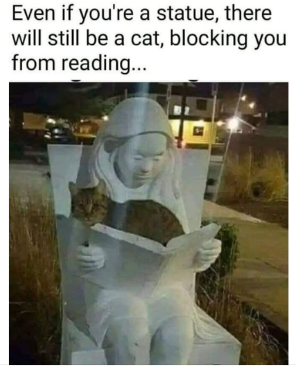 a stone cold reality