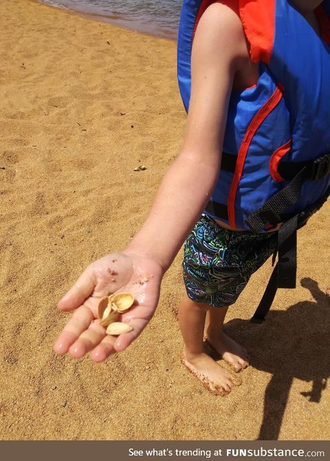My son found sea shells on his first trip to the beach. I didn't have the heart to tell