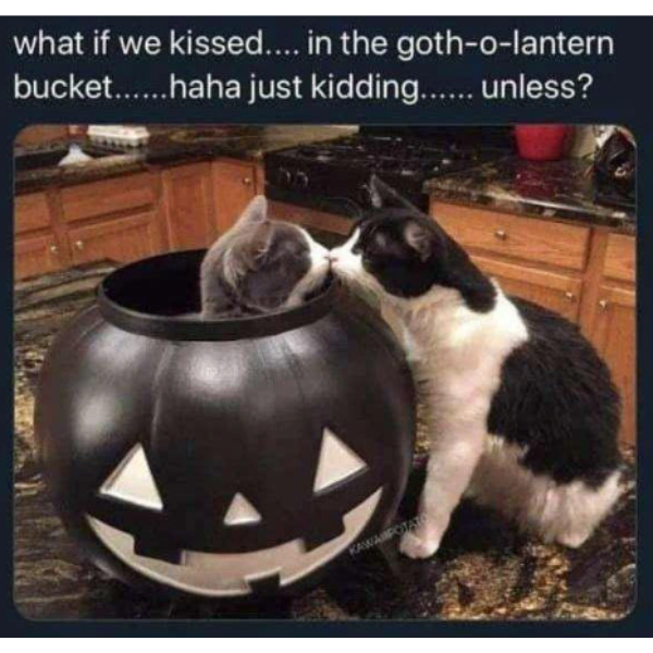 trick and treat