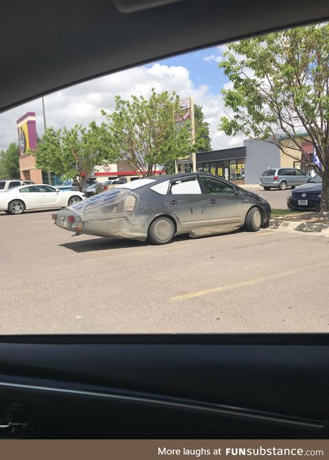 Spotted this thing today. Not sure what it is though