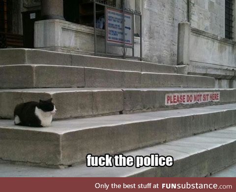 f*ck the police!