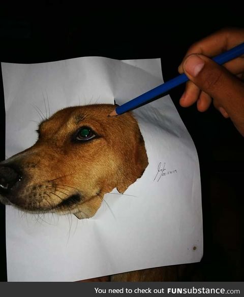 My first time to draw my dog. Please be nice