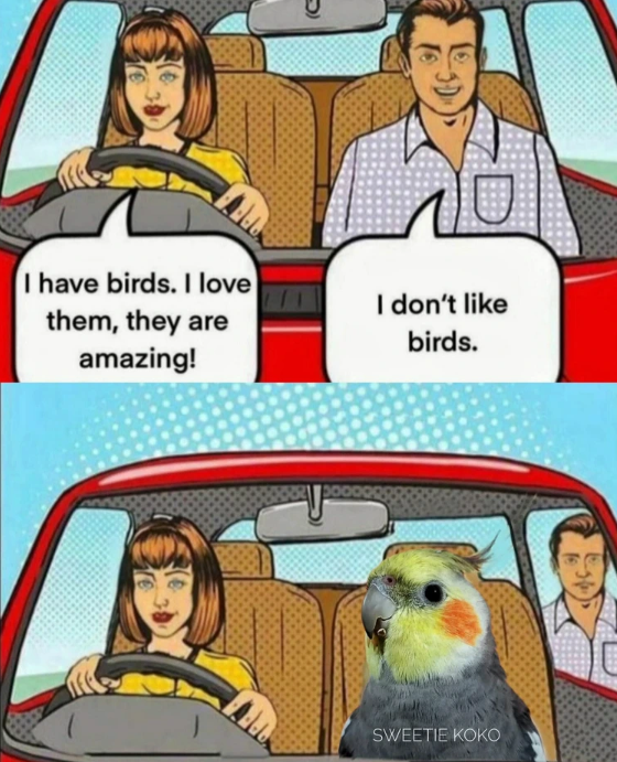 flock around and find out