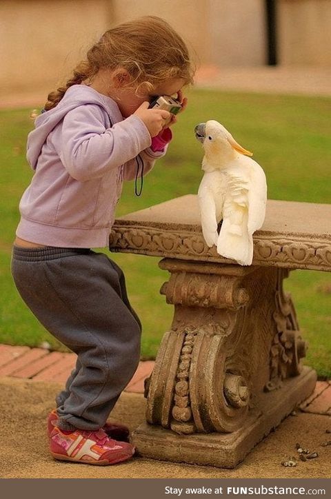 Girl photographing a bird