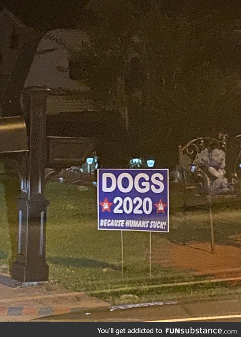 Wife saw this on her way home