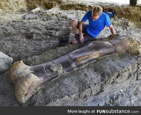 140 million year old, 500kg dinosaur femur discovered in France