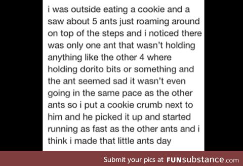 Do you actually want ants?