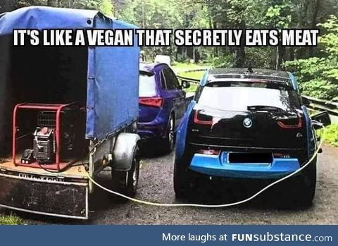 Vegan cars
