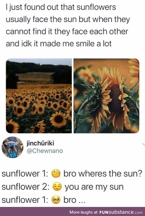 Shine bright, bro