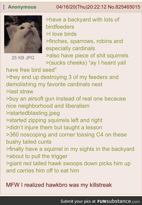 Anon calls in an airstrike
