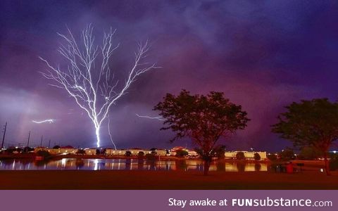 Tree lightning in Texas