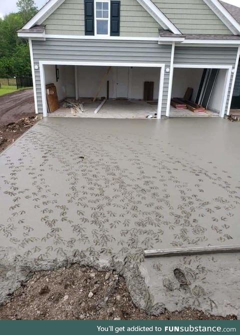 A driveway crew was pouring concrete at a new house next to a duck pond. They went to