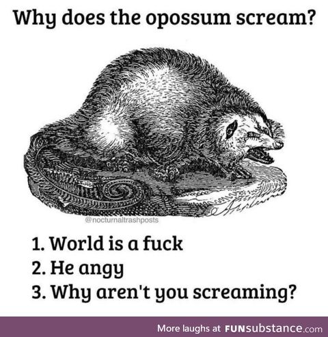 The opossum has a right to scream