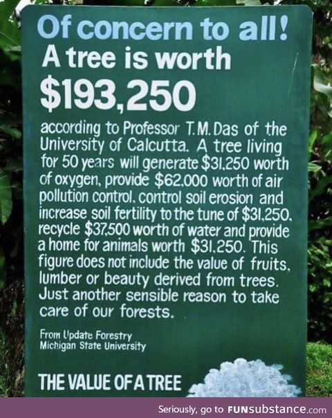 The value of a tree
