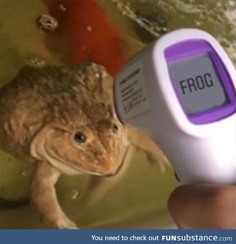 Froggo Fun #253 - Frogometer