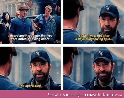 Chuck Norris Makes A Chuck Norris Joke