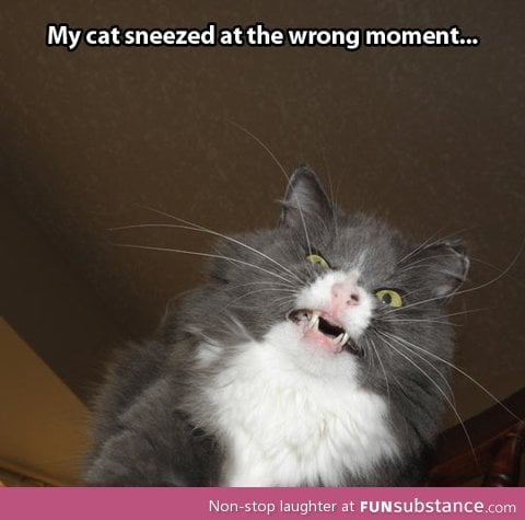 Sneezing face