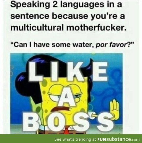Speaking 2 languages